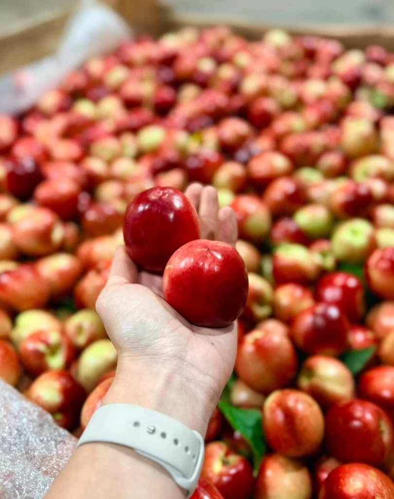 Produto