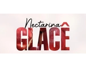 Nectarina Glacê